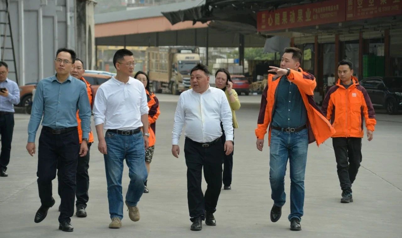 重庆市商务委员会副主任彭和良一行莅临百安港农产品批发市场调研